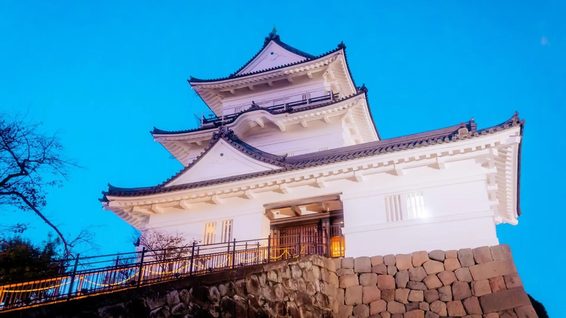 Toyoko Inn Odawara Eki Higashi Guchi 3*,