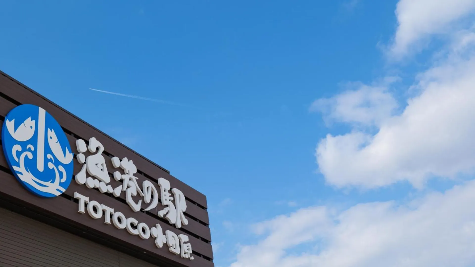 *** Hotel Toyoko Inn Odawara Eki Higashi Guchi Japan
